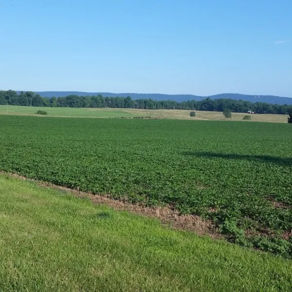 Greenville Farm Family Campground