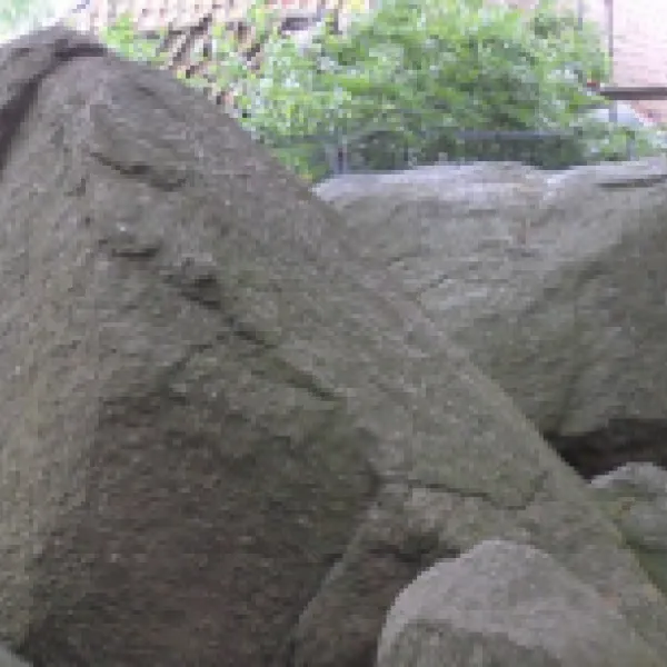 camping-de-appelhof-midlaren-fcm7p