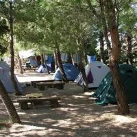 camping-marko-starigrad-vmo5o