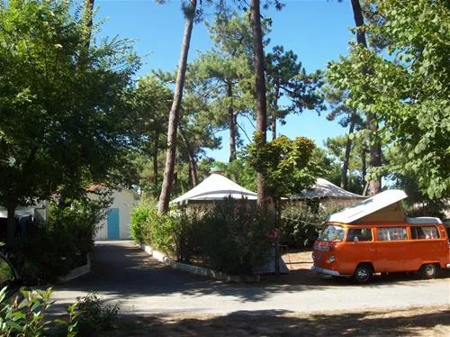 camping-club-les-pins-le-grand-village-plage-wdphg