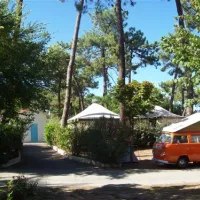 camping-club-les-pins-le-grand-village-plage-wdphg