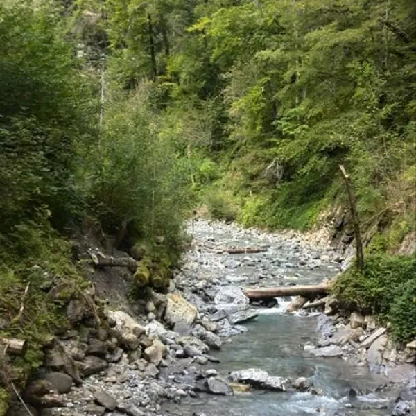 alpencamping-nenzing-nenzing-9tvfa
