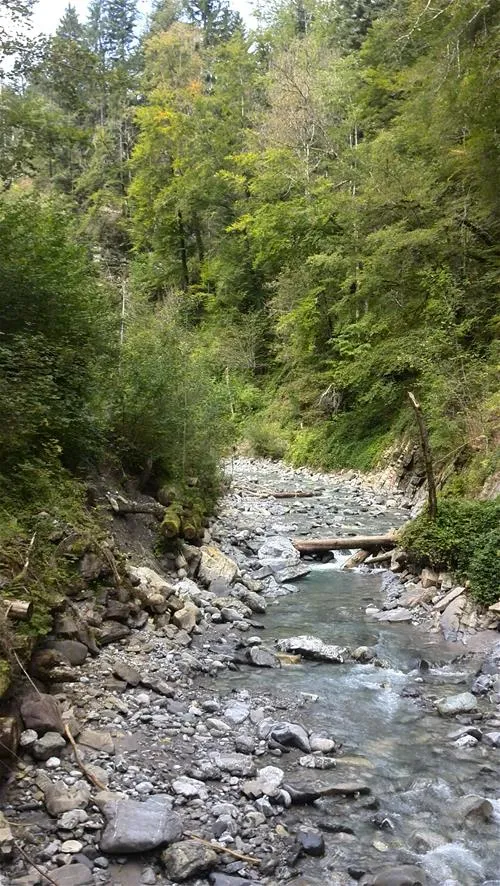 alpencamping-nenzing-nenzing-nhnyv