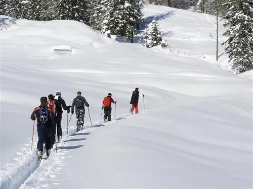 alpencamping-nenzing-nenzing-ycrjk