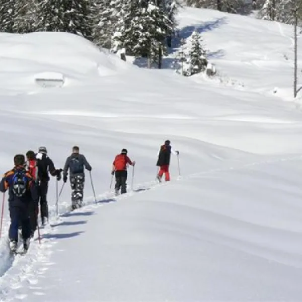 alpencamping-nenzing-nenzing-ycrjk