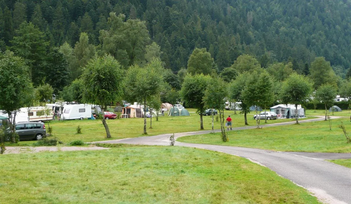 camping-la-vologne-xonruptlongemer-1oswm