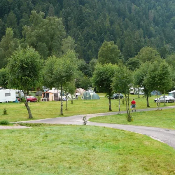 Camping La Vologne  