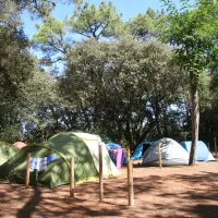 camping-municipal-le-vieux-moulin-la-tranche-sur-mer-nqwkq