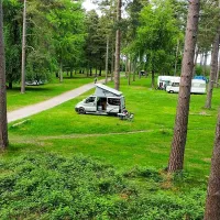 camping-and-caravanning-club-site-cannock-chase-rugeley-4ok5c