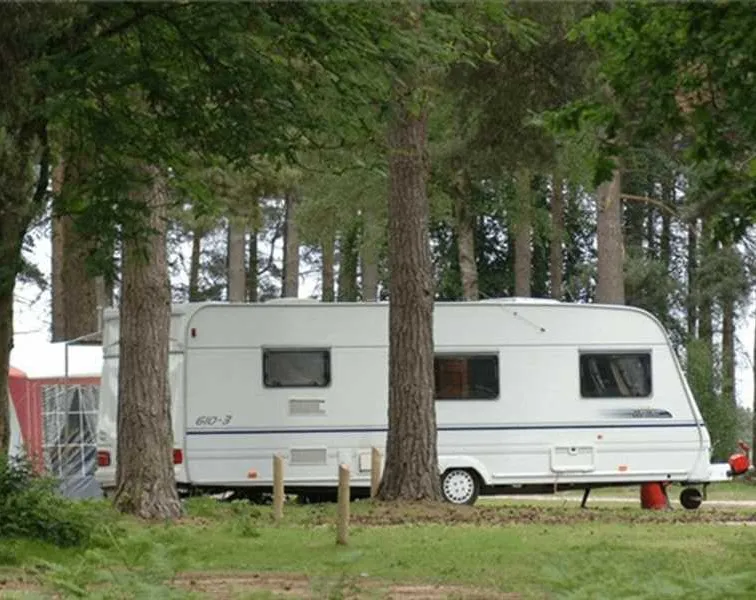 camping-and-caravanning-club-site-cannock-chase-rugeley-imu5s
