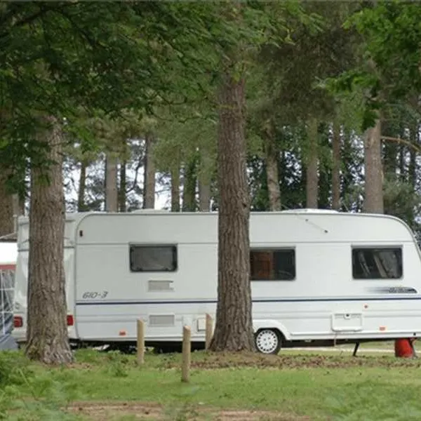 camping-and-caravanning-club-site-cannock-chase-rugeley-imu5s