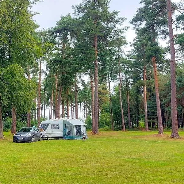 camping-and-caravanning-club-site-cannock-chase-rugeley-lv9dx