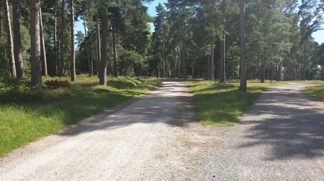 camping-and-caravanning-club-site-cannock-chase-rugeley-siybk