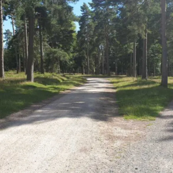 camping-and-caravanning-club-site-cannock-chase-rugeley-siybk