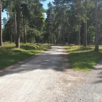 camping-and-caravanning-club-site-cannock-chase-rugeley-siybk