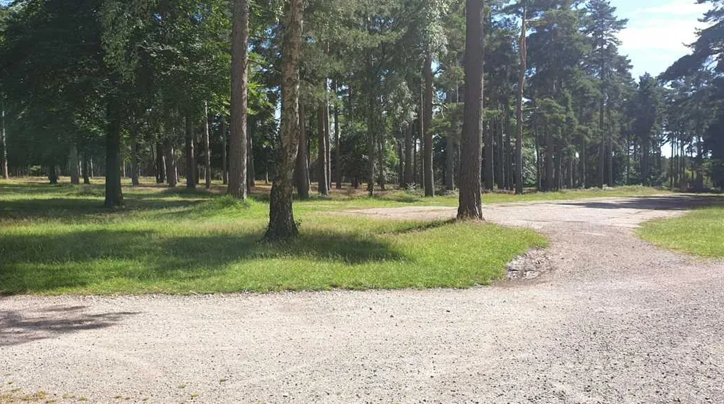camping-and-caravanning-club-site-cannock-chase-rugeley-z6wxe