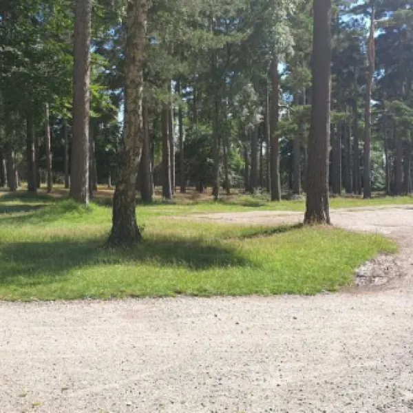 camping-and-caravanning-club-site-cannock-chase-rugeley-z6wxe