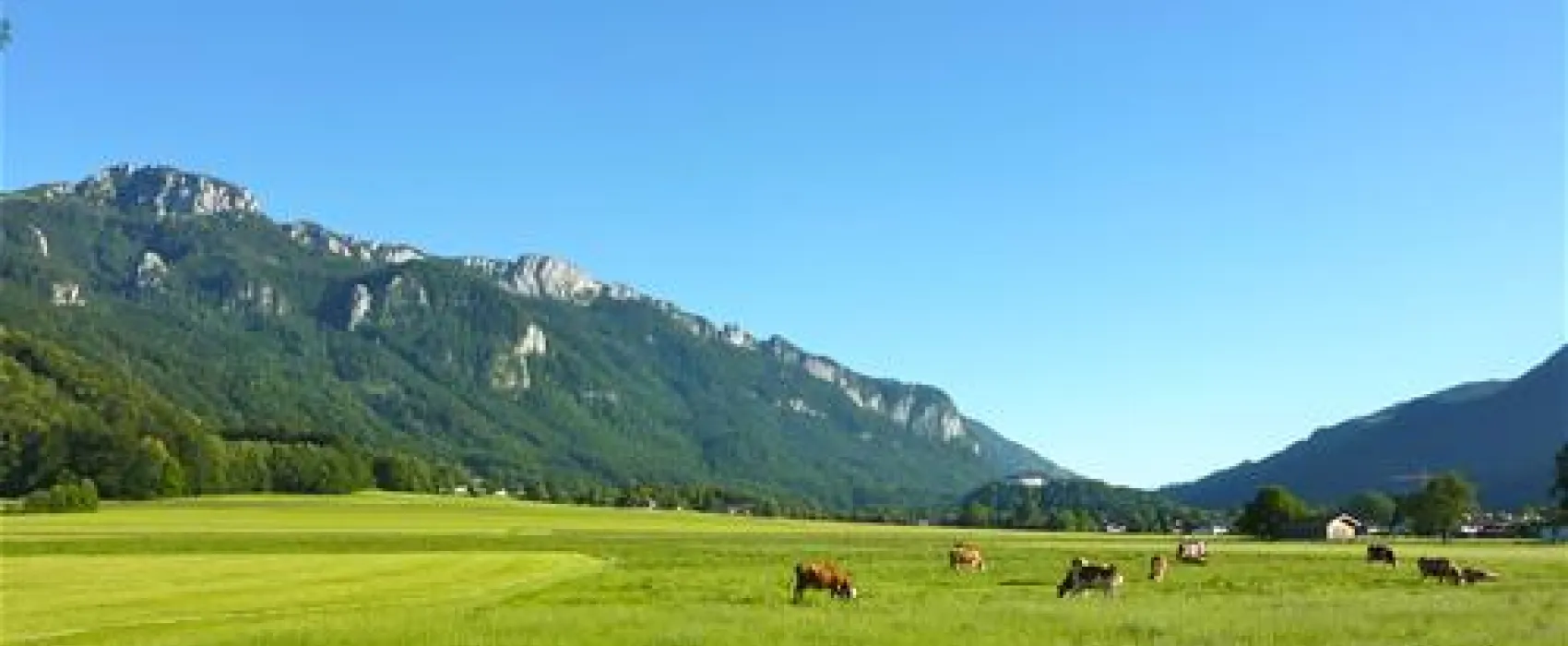 Camping am Moor