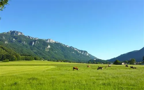 camping-am-moor-aschau-glavi