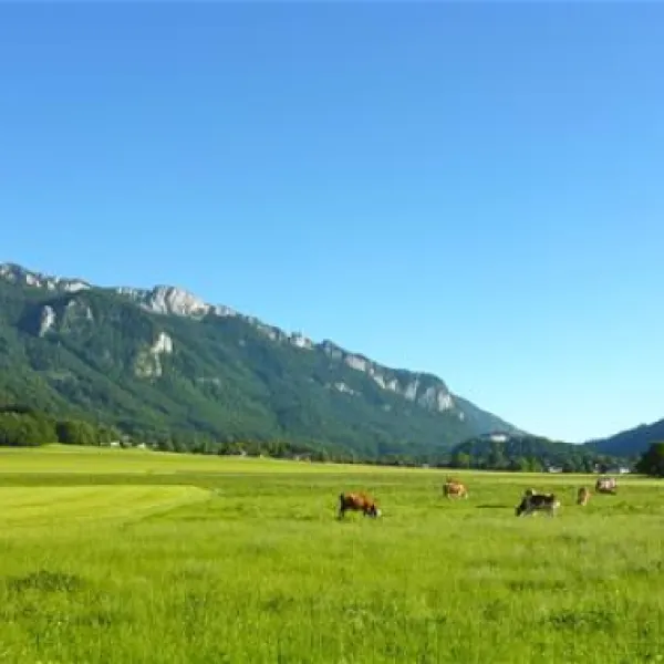 camping-am-moor-aschau-glavi