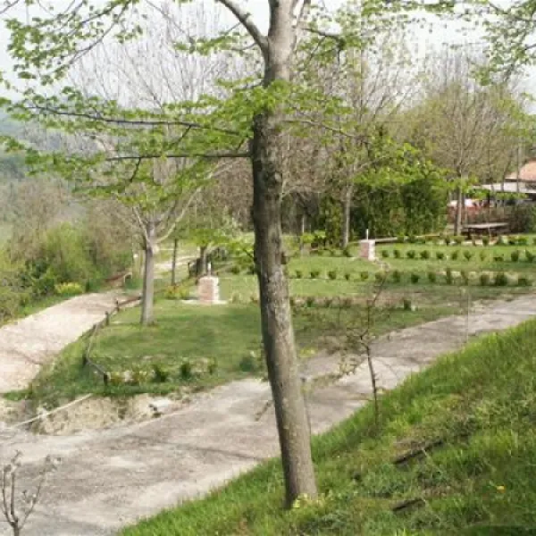 agricampeggio-la-stadera-cesena-lr59v