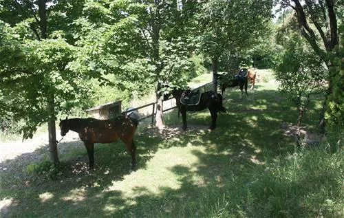 agricampeggio-la-stadera-cesena-lvuke