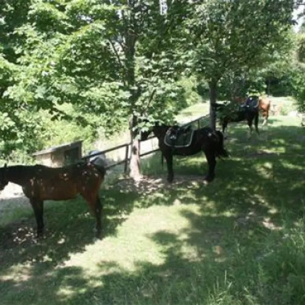 agricampeggio-la-stadera-cesena-lvuke