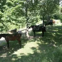 agricampeggio-la-stadera-cesena-lvuke