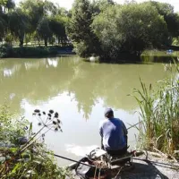 Cofton Country Holidays