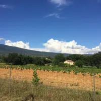 pastory-bedoin-ytegx