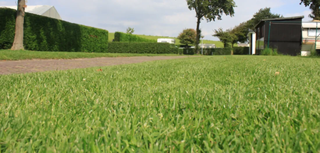 camping-klein-stelle-wemeldinge-kquqp