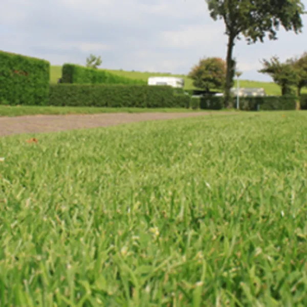 camping-klein-stelle-wemeldinge-kquqp