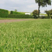 camping-klein-stelle-wemeldinge-kquqp