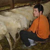 camping-a-la-ferme-sobieta-alcay-alcabehety-sunharette-bcj0o