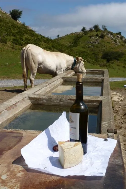 camping-a-la-ferme-sobieta-alcay-alcabehety-sunharette-g4bef