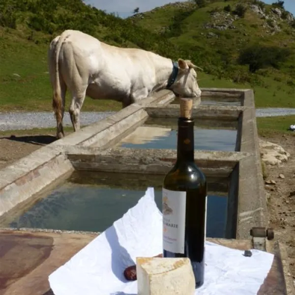 camping-a-la-ferme-sobieta-alcay-alcabehety-sunharette-g4bef