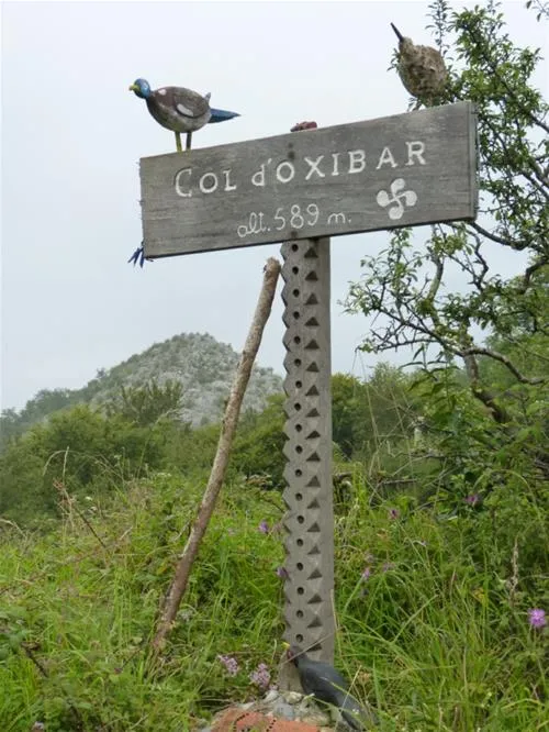 camping-a-la-ferme-sobieta-alcay-alcabehety-sunharette-siufu