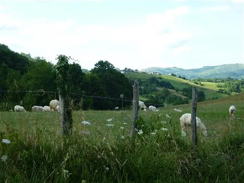 camping-a-la-ferme-sobieta-alcay-alcabehety-sunharette-voudn