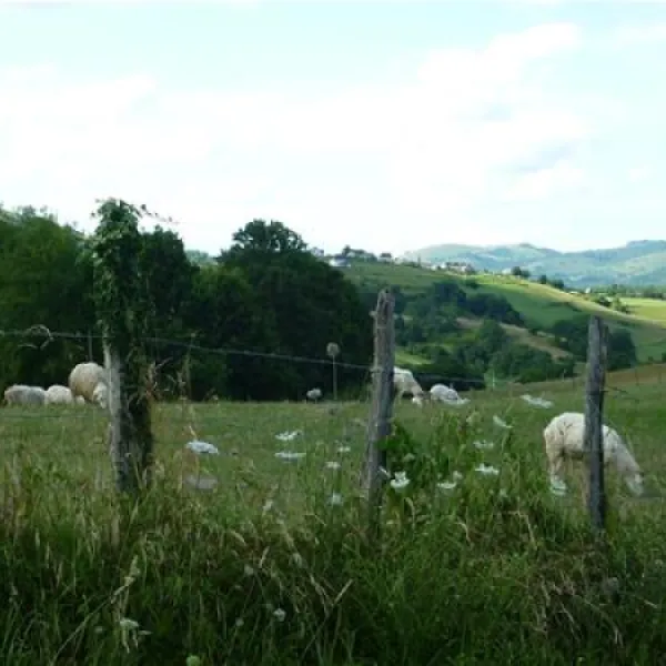 camping-a-la-ferme-sobieta-alcay-alcabehety-sunharette-voudn