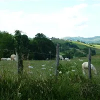camping-a-la-ferme-sobieta-alcay-alcabehety-sunharette-voudn