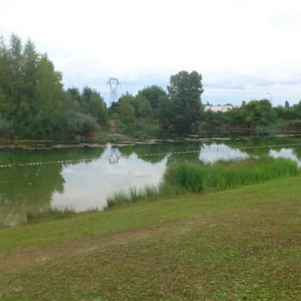 camp-au-clair-ruisseau-gerstheim-h8xye