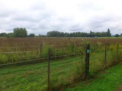 camp-au-clair-ruisseau-gerstheim-hyyu6