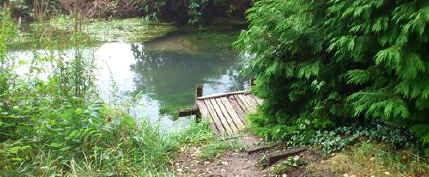 Camp Au Clair Ruisseau