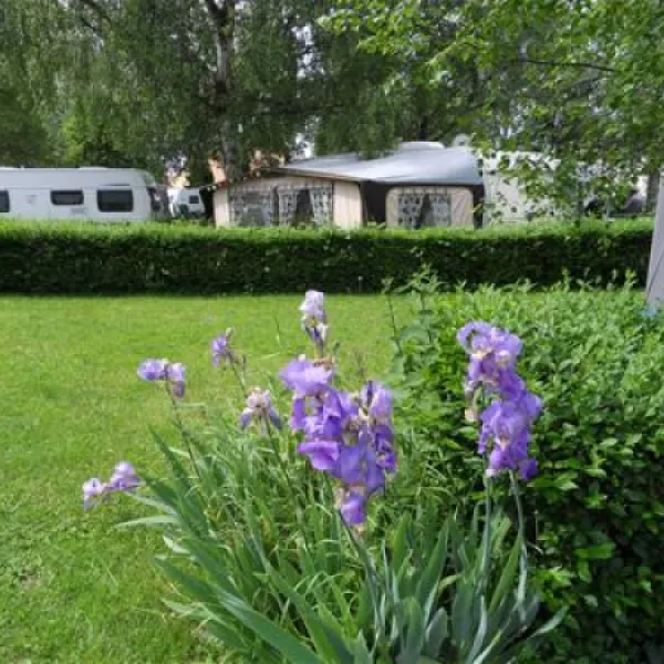 camp-au-clair-ruisseau-gerstheim-qmb5v