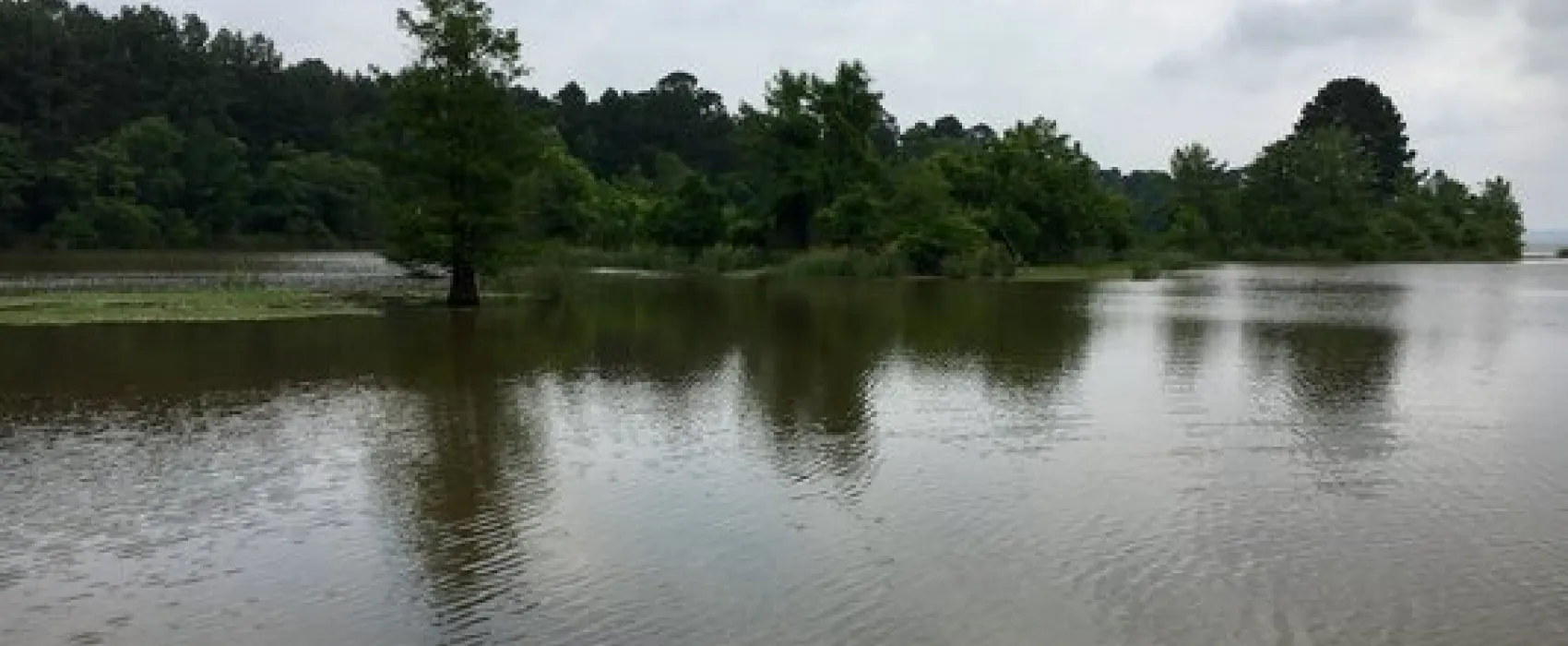 Millwood State Park