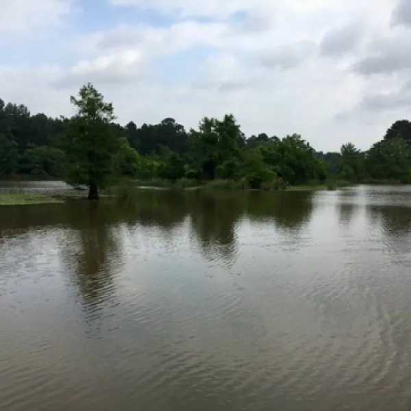 millwood-state-park-ashdown-ue1kb