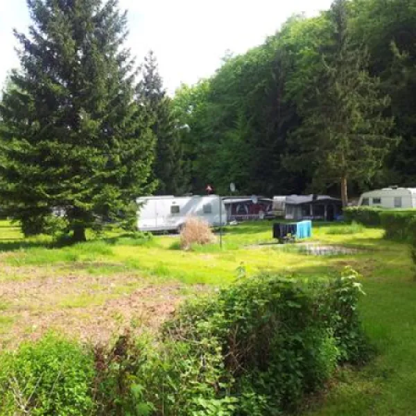 campingplatz-pfrimmtal-pfrimmerhof-bei-sippersfeld-1pcdp