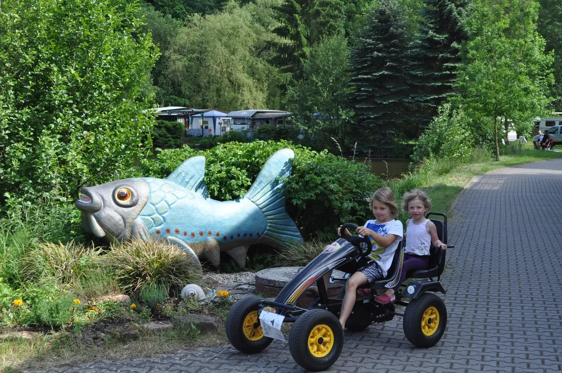 campingplatz-pfrimmtal-pfrimmerhof-bei-sippersfeld-5jlni