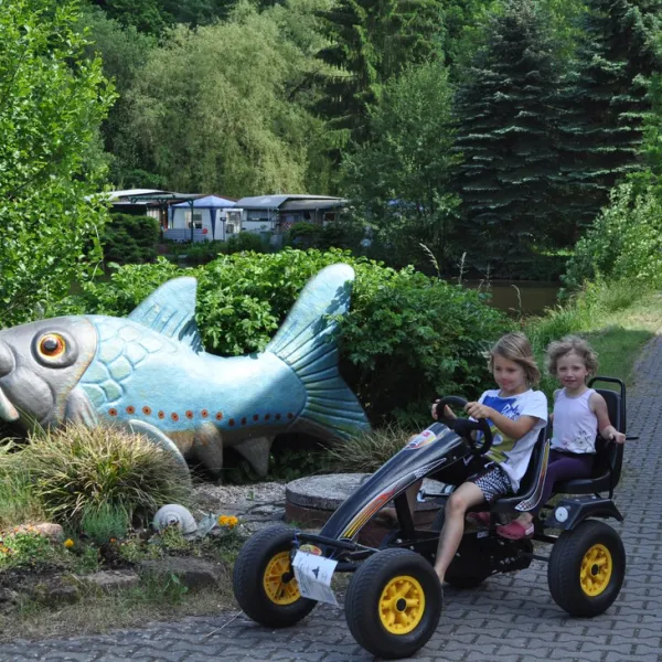campingplatz-pfrimmtal-pfrimmerhof-bei-sippersfeld-5jlni