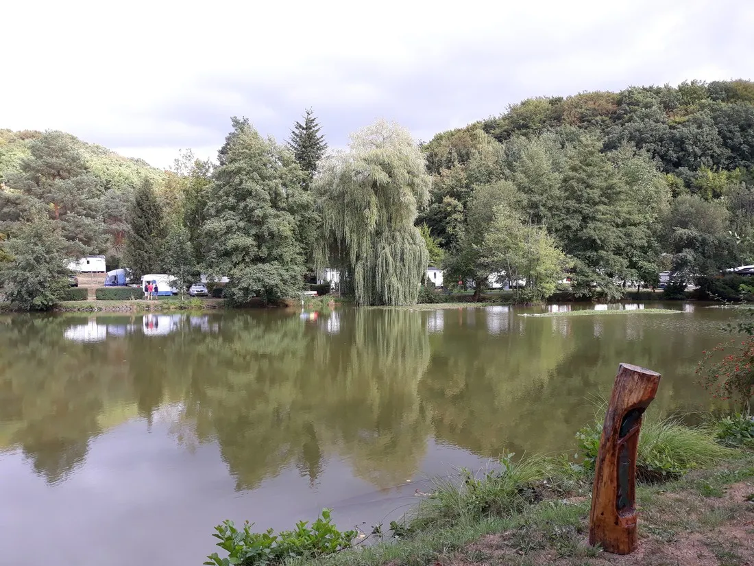 campingplatz-pfrimmtal-pfrimmerhof-bei-sippersfeld-mcktx